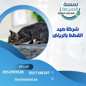 Read more about the article شركة صيد القطط بالرياض-0552959538