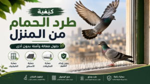 كيفية طرد الحمام من المنزل