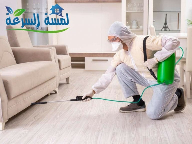 Read more about the article رش المبيدات هل يضر الأطفال والاثاث