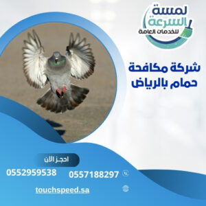 Read more about the article شركة مكافحة حمام بالرياض-0552959538