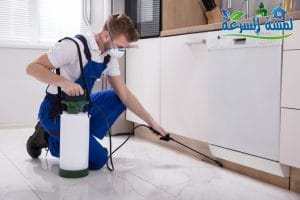 Read more about the article شركة مكافحة الصراصير بالرياض-0552959538