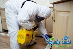 Read more about the article افضل شركة مكافحة نمل ابيض بالرياض-0552959538
