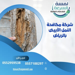 Read more about the article شركة مكافحة النمل الأبيض بالرياض-0552959538