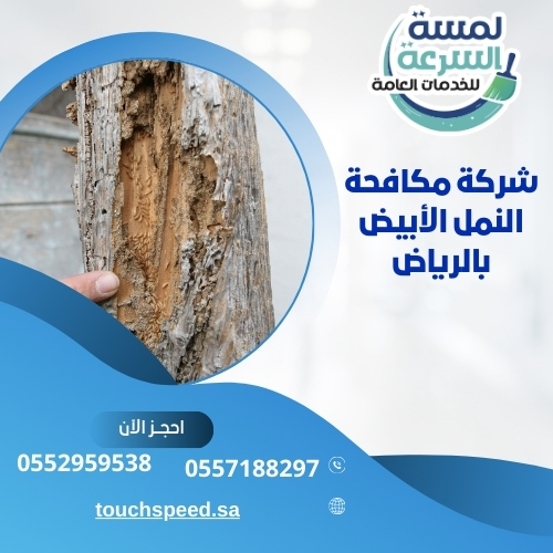 Read more about the article شركة مكافحة النمل الأبيض بالرياض-0552959538
