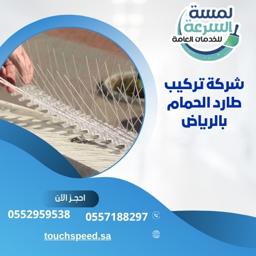 Read more about the article شركة تركيب طارد الحمام بالرياض-0552959538