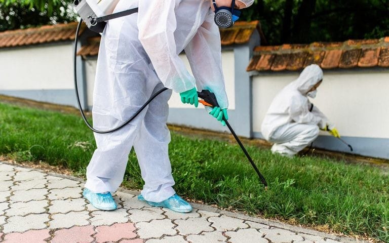 شركة مكافحة حشرات حي الملك عبد العزيز بالرياض