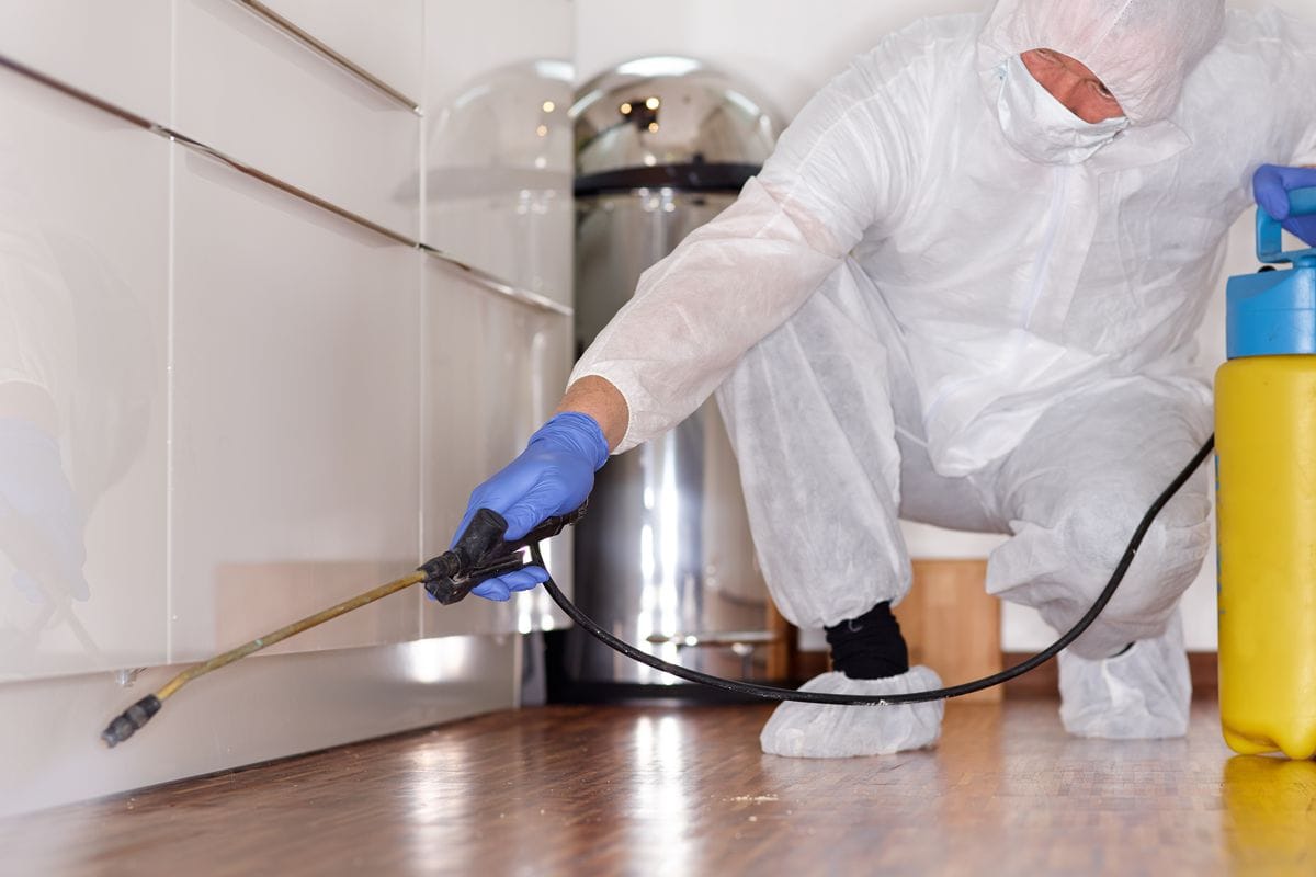 Read more about the article شركة مكافحة حشرات حي الصحافة بالرياض-0552959538