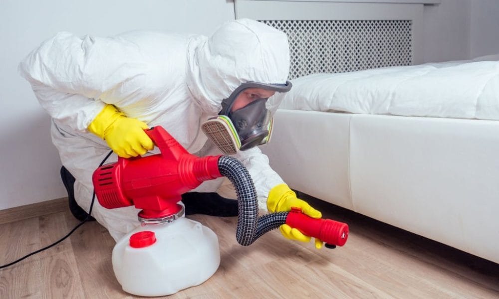 Read more about the article شركة مكافحة حشرات حي البديعة بالرياض -0552959538