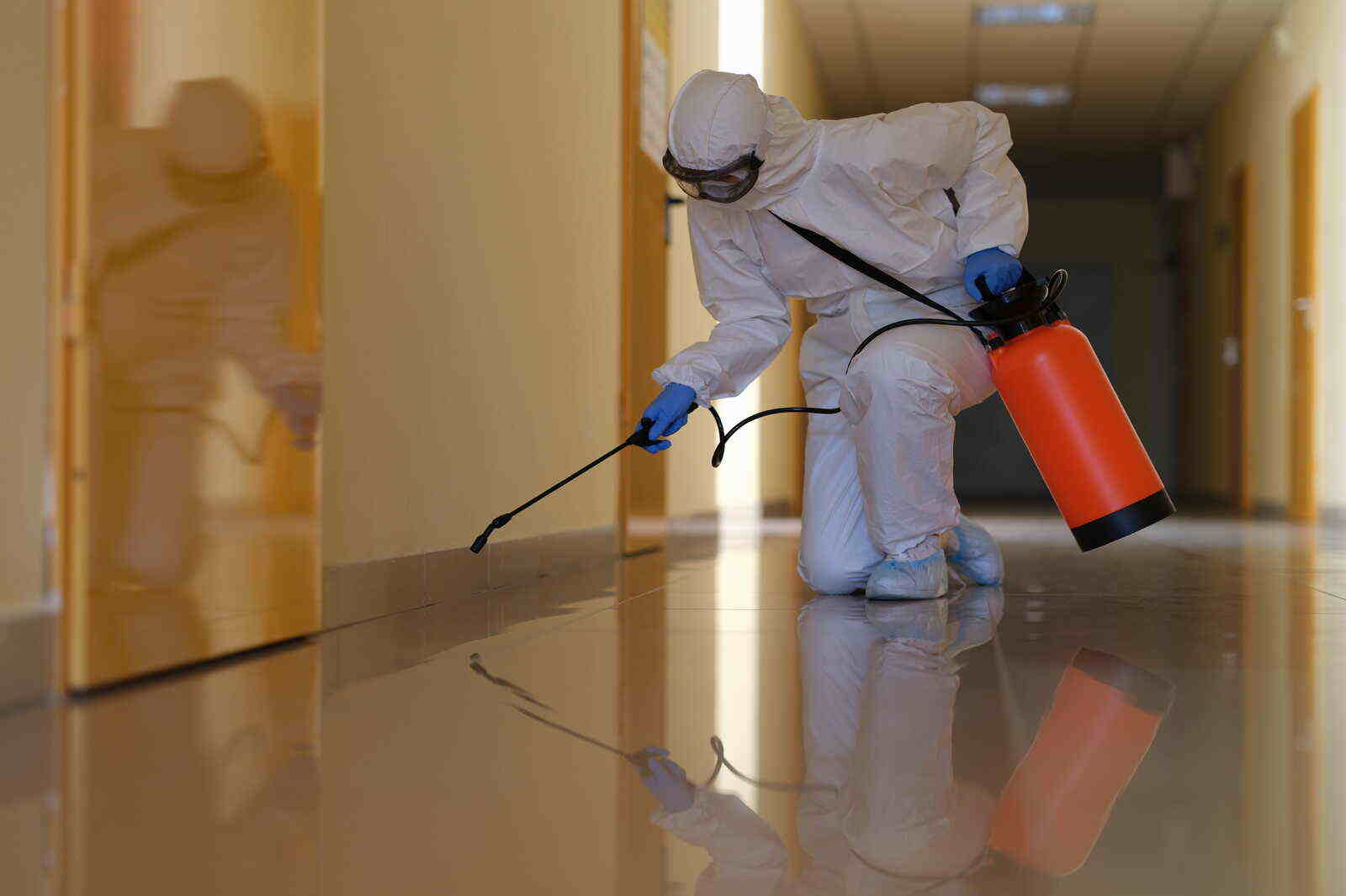 Read more about the article شركة مكافحة حشرات حي الوزارات بالرياض -0552959538