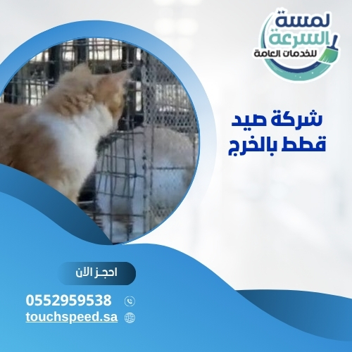 شركة صيد قطط بالخرج 0552959538
