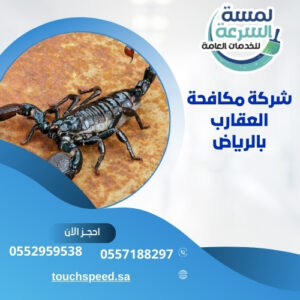 شركة مكافحة العقارب بالرياض 0538126151