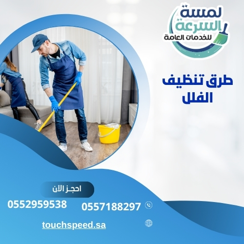 Read more about the article طرق تنظيف الفلل