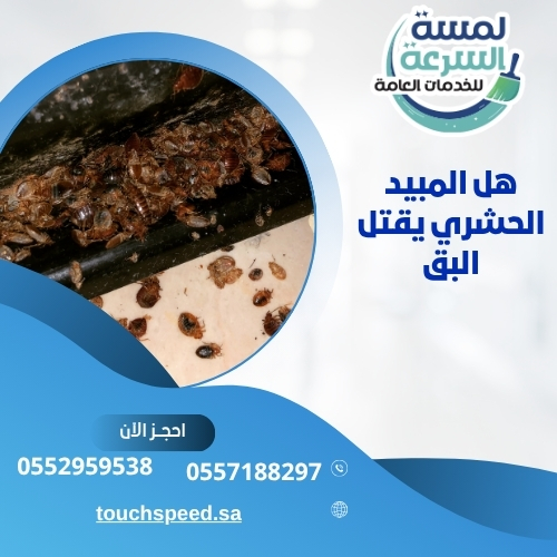 Read more about the article هل المبيد الحشري يقتل البق