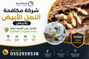 Read more about the article شركة مكافحة النمل الأبيض بالرياض