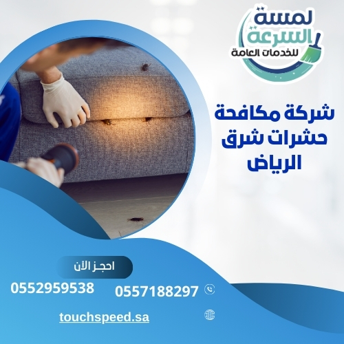 Read more about the article شركة مكافحة حشرات شرق الرياض