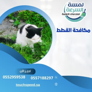 Read more about the article مكافحة القطط