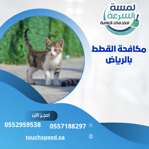 Read more about the article مكافحة القطط بالرياض