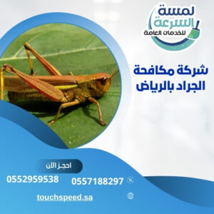 Read more about the article شركة مكافحة الجراد بالرياض