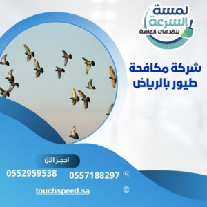 Read more about the article شركة مكافحة طيور بالرياض