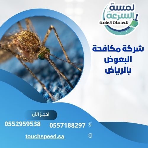 شركة مكافحة البعوض بالرياض