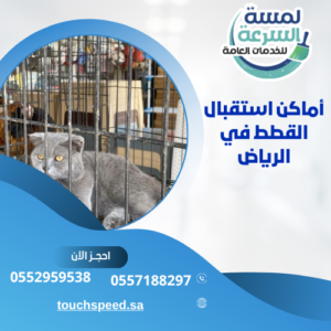 أماكن استقبال القطط في الرياض