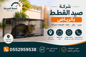 Read more about the article شركة صيد القطط بالرياض