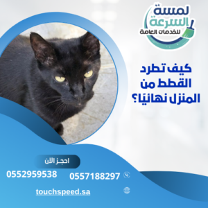 كيف تطرد القطط من المنزل نهائيًا؟